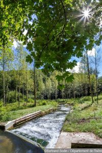 Sortie nature : découverte de l'étang de Cote-Manin @ Pays Voironnais