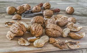 Sorties à la noix : visite de la Ferme du Rocher @ Choranche