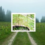 Workshop "Villard de Lans 2021. *** a disparu"