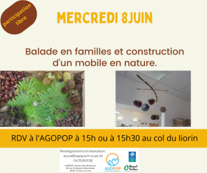 Mercredi Famille : Balade en forêt pour créer son mobile nature @ Agopop, Maison des habitants