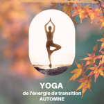 2023-11-18 stages yoga energie – automne 2023 _web