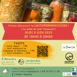 Com Atelier Lactofermentation – 8juin23