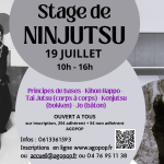 Stage Ninjutsu