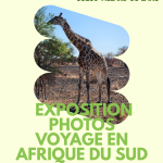 EXPOSITION Photos afrique du Sud (1)